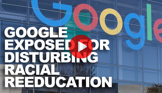 Google Exposed for Disturbing Racial Reeducation Camp