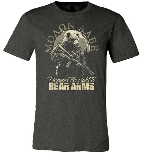 I support the right to Bear Arms